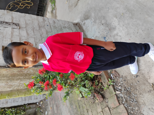 Ayush Bar