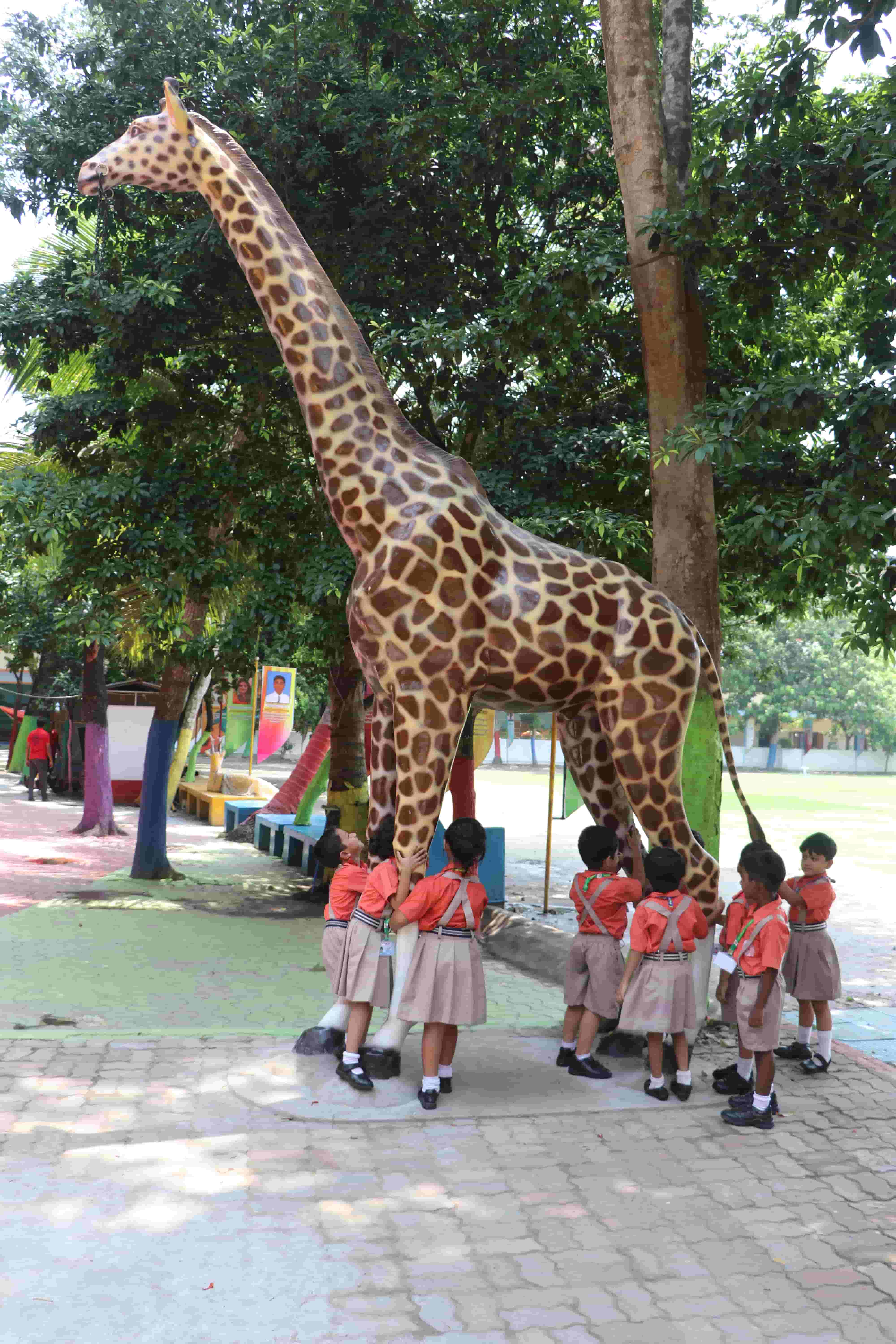 Kids Zone