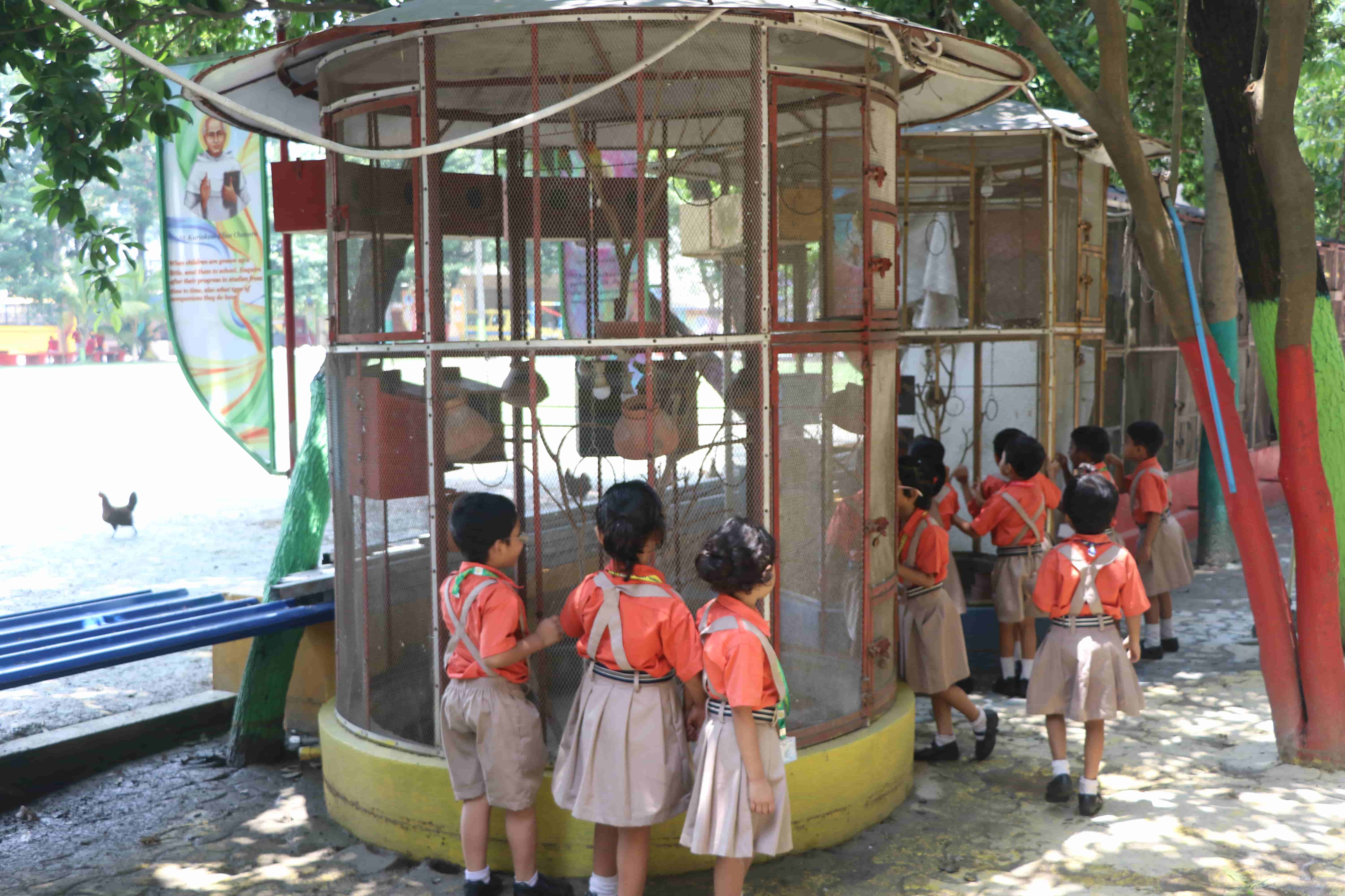 Kids Zone